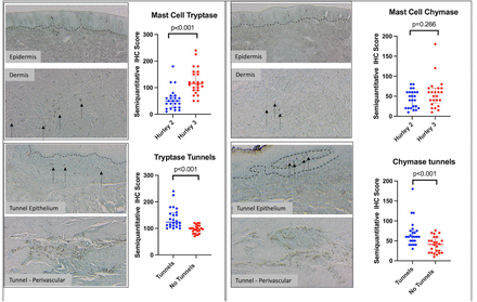 Figure 4: