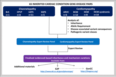 Figure 1: