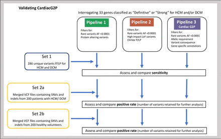 Figure 2: