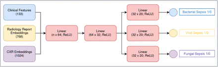 Figure 3: