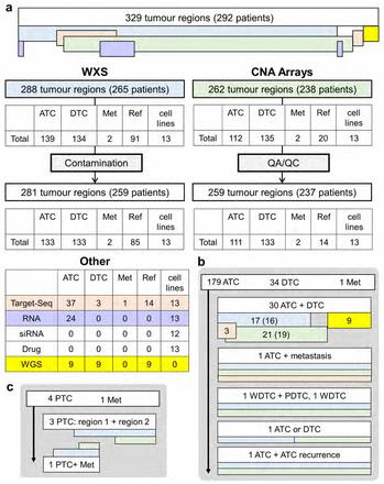 Supplementary Figure 1: