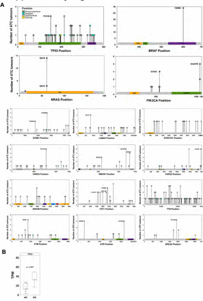 Supplementary Figure 3: