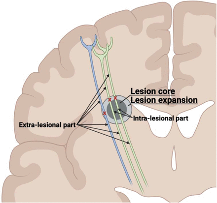 Fig. 3.