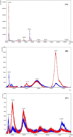 Figure 12: