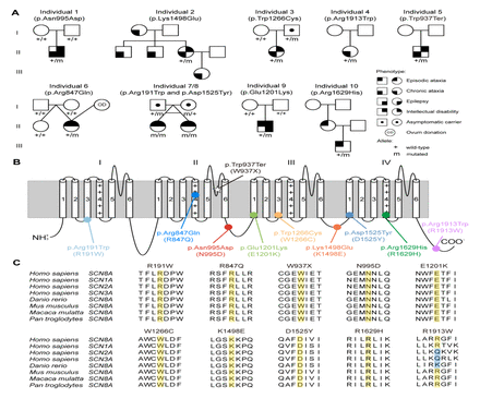 FIGURE 1: