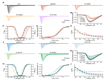 FIGURE 2: