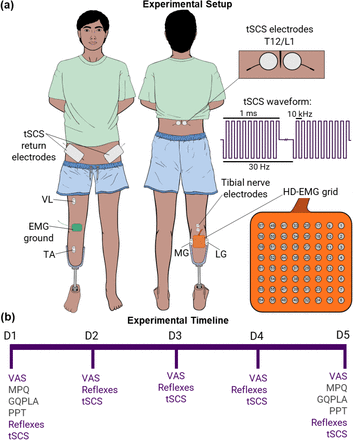 Figure 1: