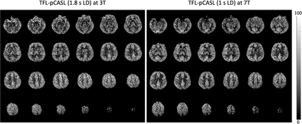 Figure 10.