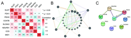 Figure 2: