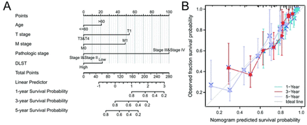 Figure 5: