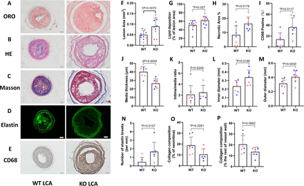 Figure 3: