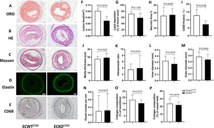 Figure 5: