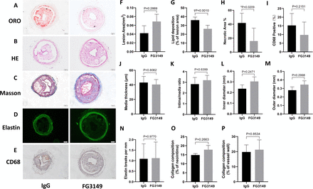 Figure 6: