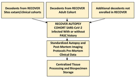 Fig 2: