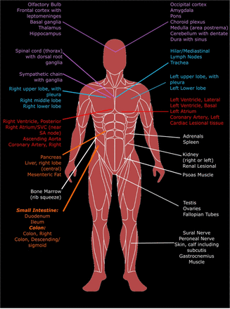 Fig 3: