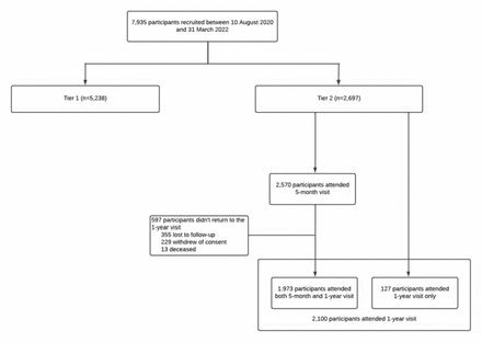 Figure 1: