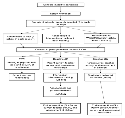 Figure 5: