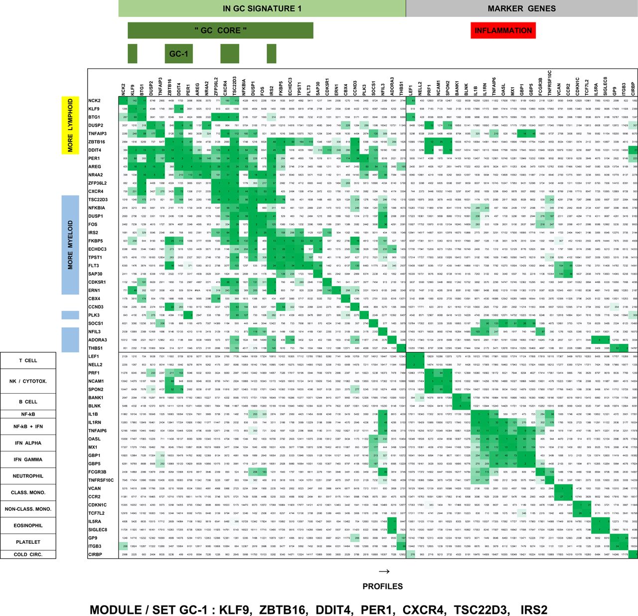 A cortisol driven gene expression signature from circulating  