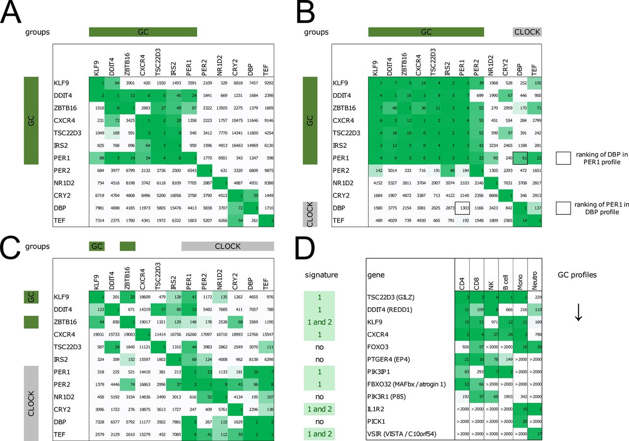 A cortisol driven gene expression signature from circulating  