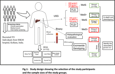 Fig. 1: