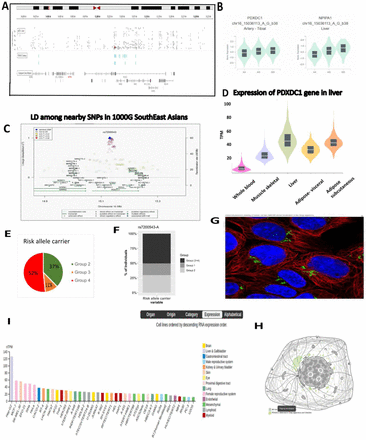 Fig. 4: