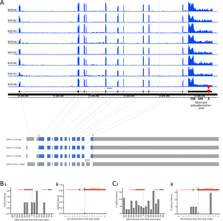 Fig. 4: