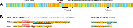 Fig. 5: