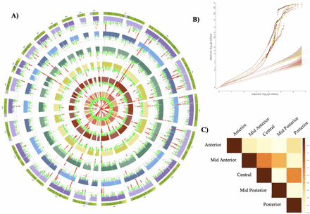 Figure 2: