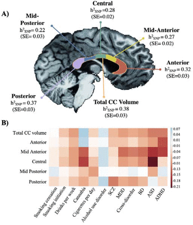 Figure 3: