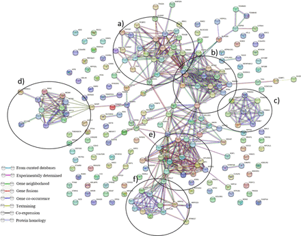 Supplementary Figure 1.