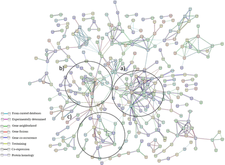 Supplementary Figure 2.