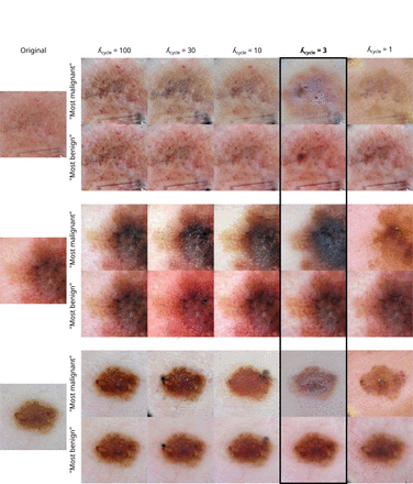 Supplementary Fig. 7