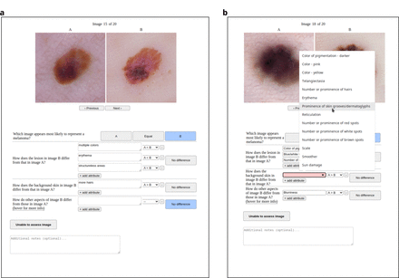 Supplementary Fig. 8