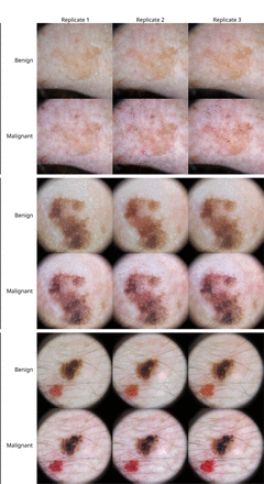 Supplementary Fig. 11