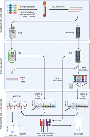 Figure 1: