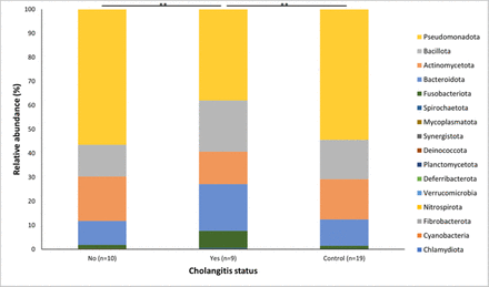 Figure 5: