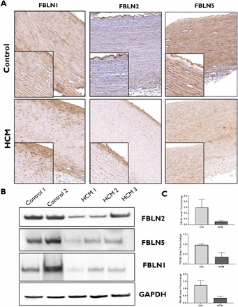 Figure 5: