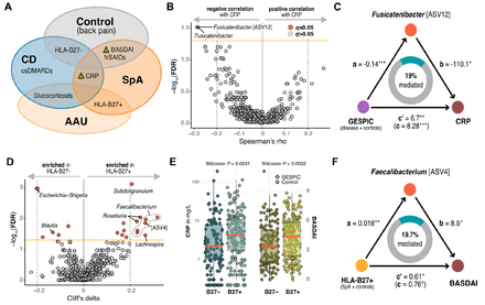 Figure 4: