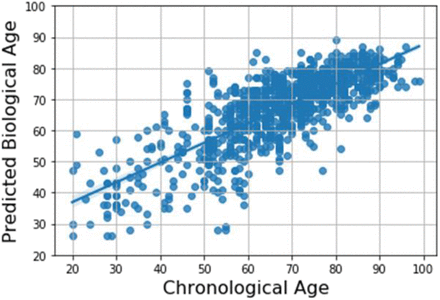 Figure 2: