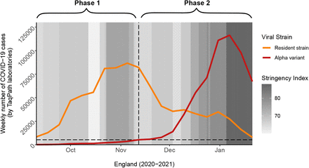 Figure 1: