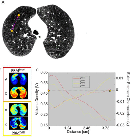 Figure 4: