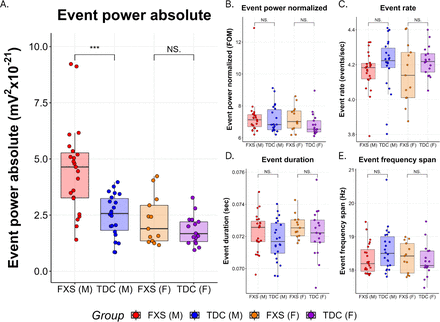 Figure 3 -