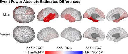 Figure 4 -