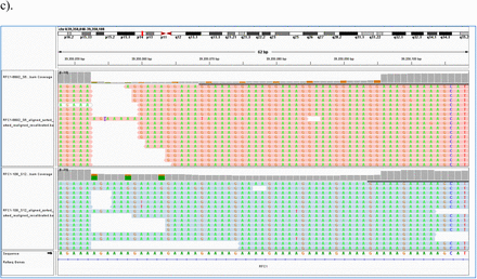 Figure 1: