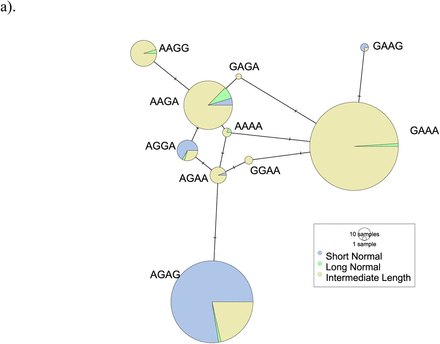 Figure 2: