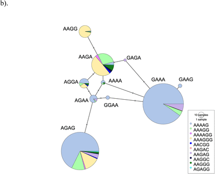 Figure 2: