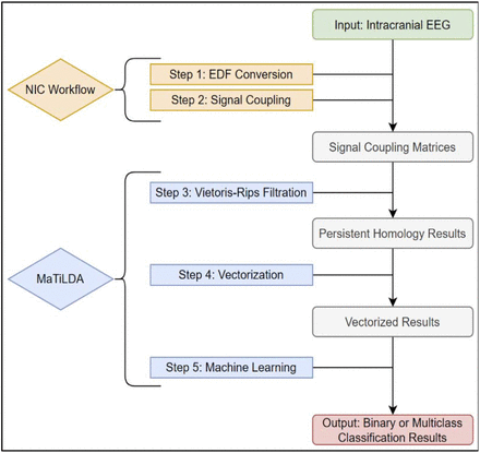 Figure 2: