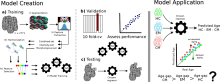 Figure 1: