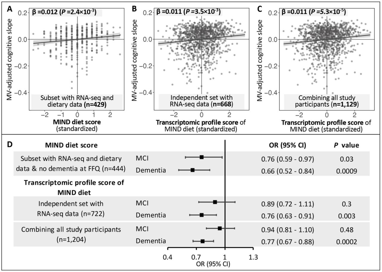 The MIND diet, brain transcriptomic alterations, and dementia