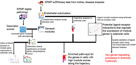 Figure 6: